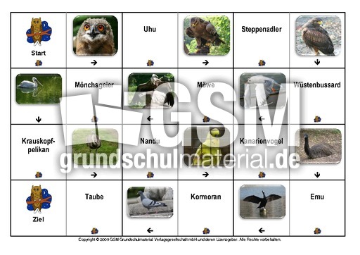 Domino-Vögel-5.pdf